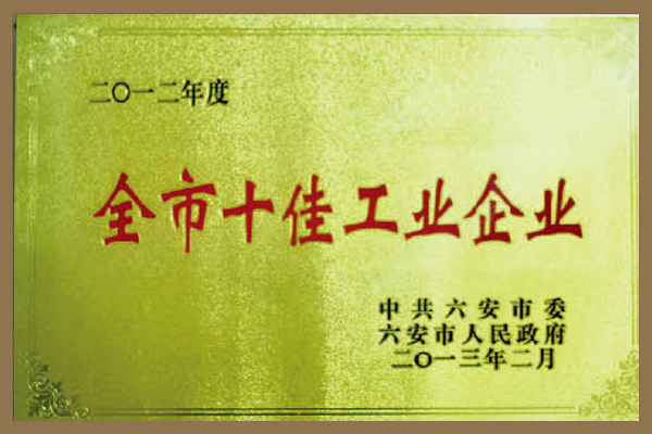 集團被六安市委、市政府評為“全市十佳工業(yè)企業(yè)”。