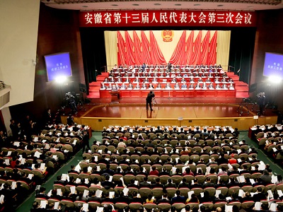 星星集團(tuán)黨委書記、董事長管傳玉參加安徽省第十三屆人民代表大會