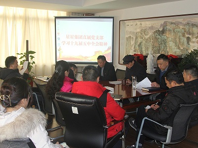 星星集團直屬黨支部集中學習黨的十九屆五中全會精神